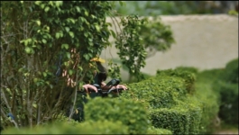 Saru - 3rd July 2025